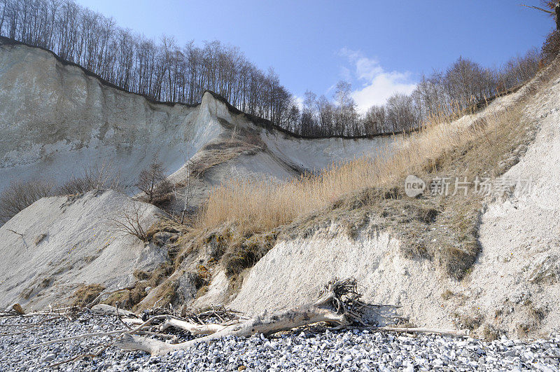 波罗的海海岸线白垩岩Insel Rügen(德国)